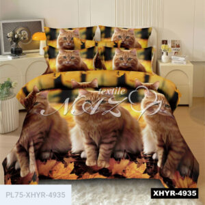 Кіт Муркіт